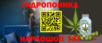 шишки Краснокаменск