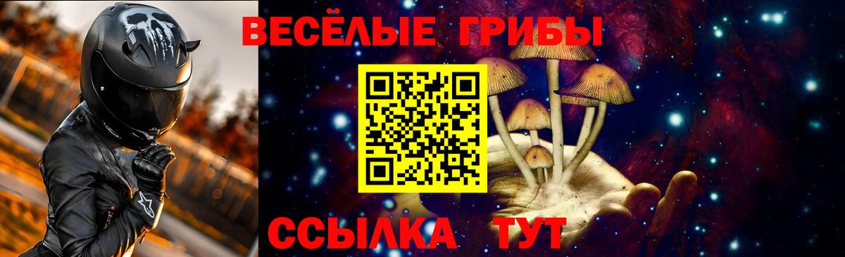 Дзержинский  Псилоцибиновые грибы Psilocybine cubensis  Вход с VPN 